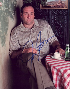 詹姆斯·甘多菲尼 James Gandolfini