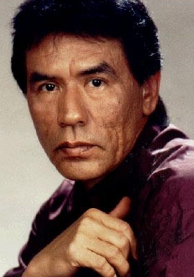 韦斯·斯塔迪 Wes Studi
