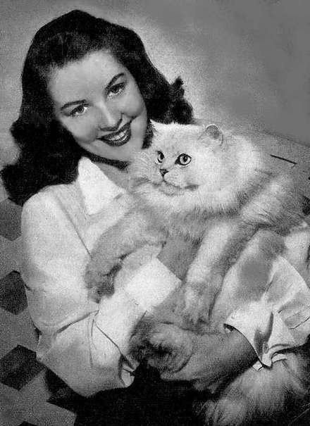 芭芭拉·贝茨 Barbara Bates