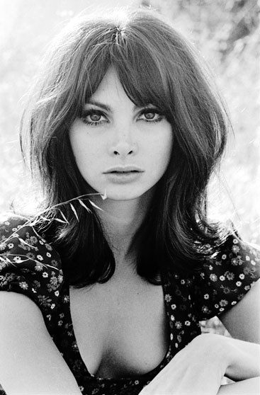 托尼·巴西尔 Toni Basil