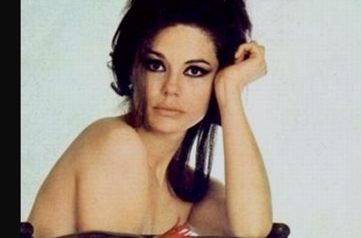 焦尔贾·莫尔 Giorgia Moll