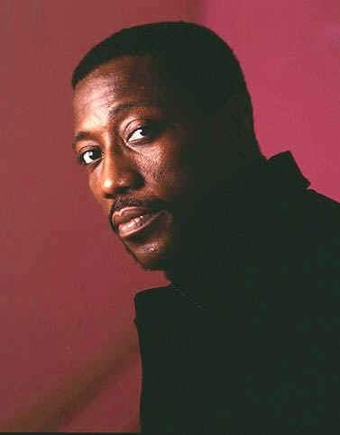 韦斯利·斯奈普斯 Wesley Snipes