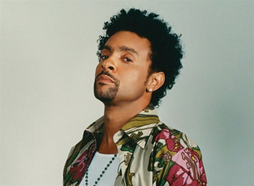 沙吉 Shaggy