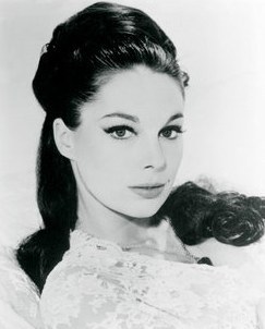 特蕾西·里德 Tracy Reed