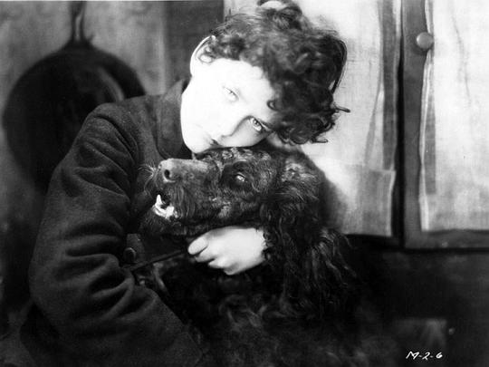 菲利普·德拉西 Philippe De Lacy