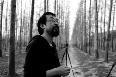丛峰 Feng Cong