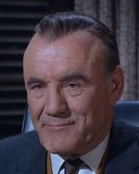 托林·撒切尔 Torin Thatcher