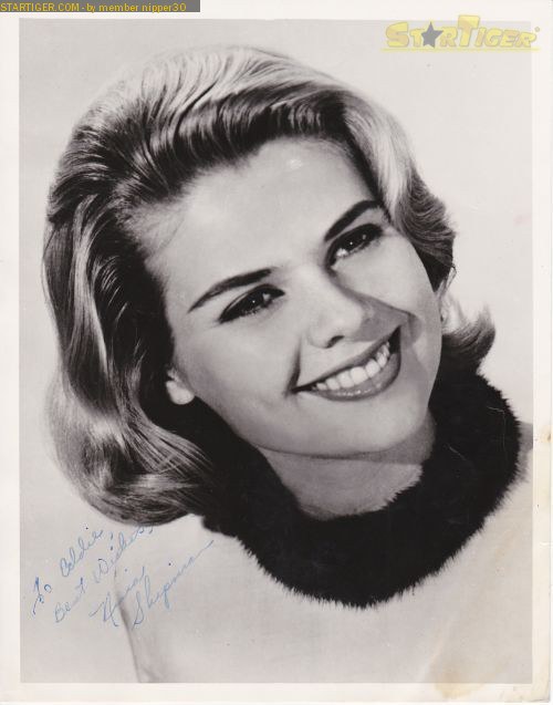 Nina Shipman Nina Shipman