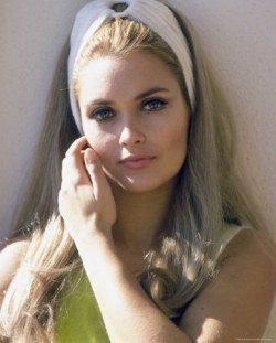亚历山德拉·巴斯蒂杜 Alexandra Bastedo