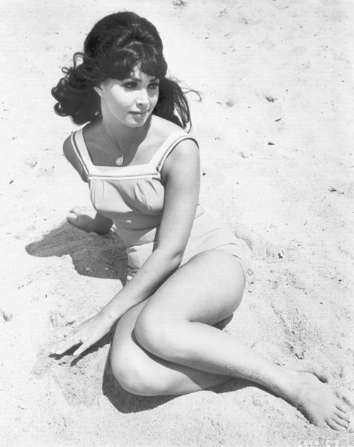 Donna Loren Donna Loren