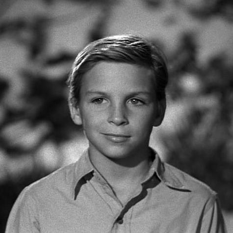 比利·蔡平 Billy Chapin