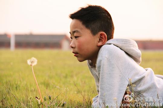 杨嘉诚 Carson Yeung