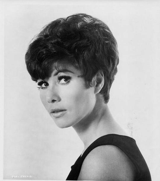 米歇尔·李 Michele Lee