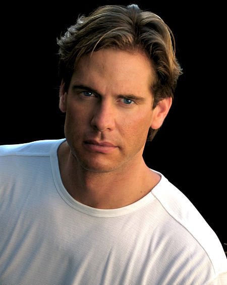 David Gibbs David Gibbs