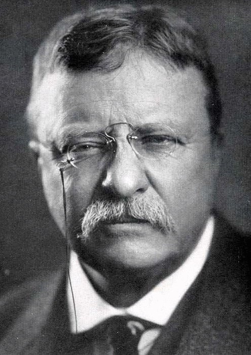 西奥多·罗斯福 Theodore Roosevelt