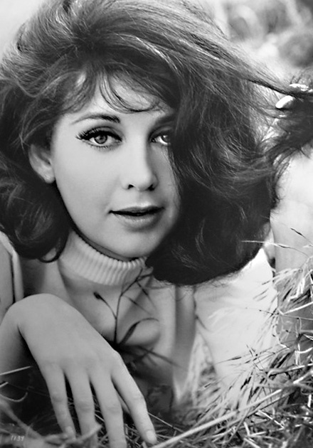 安贾妮特·科默 Anjanette Comer