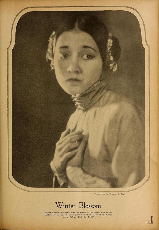 Winter Blossom Winter Blossom