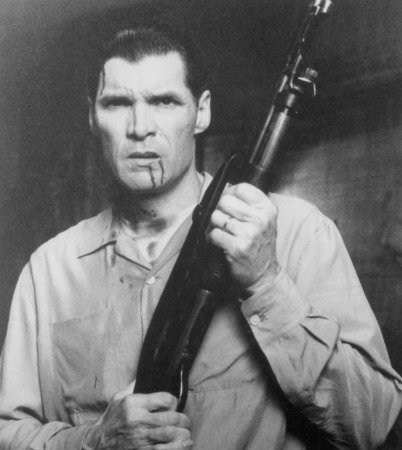 埃沃雷特·麦克吉尔 Everett McGill