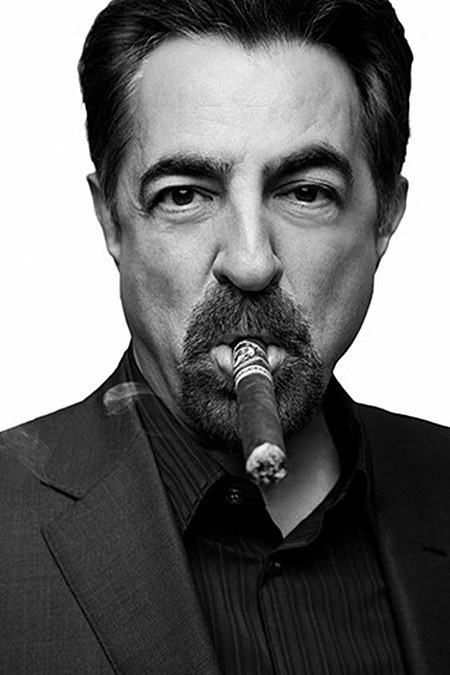 乔·曼特纳 Joe Mantegna