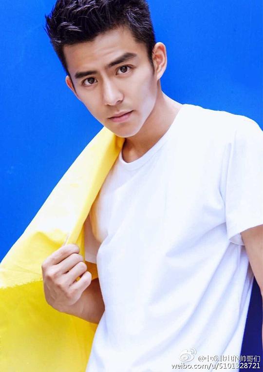 张植绿 Zhilü Zhang