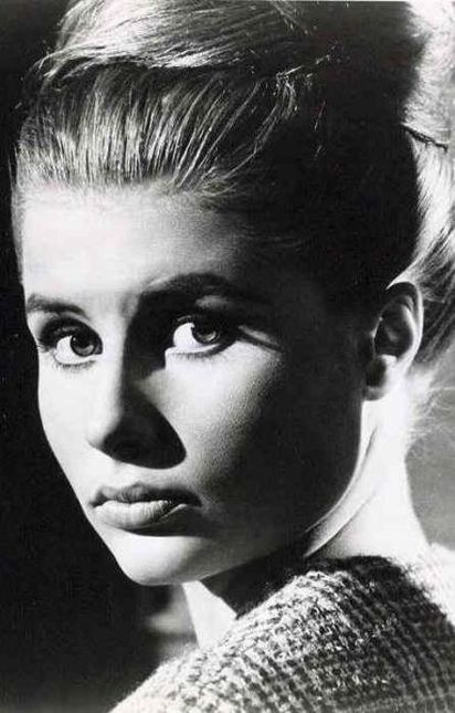 当娜·米歇尔 Donna Michelle