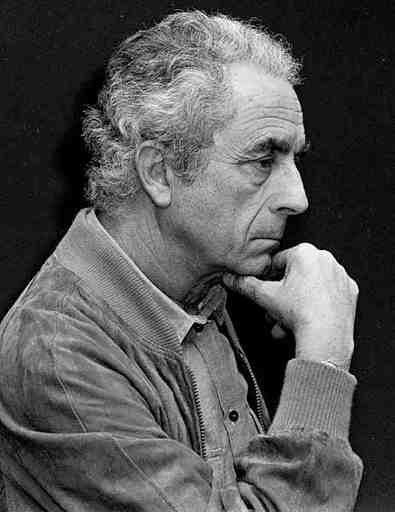 米开朗基罗·安东尼奥尼 Michelangelo Antonioni