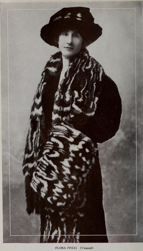 Flora Finch Flora Finch