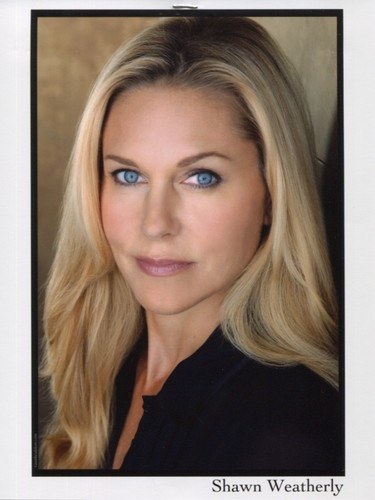 肖恩·威瑟利 Shawn Weatherly