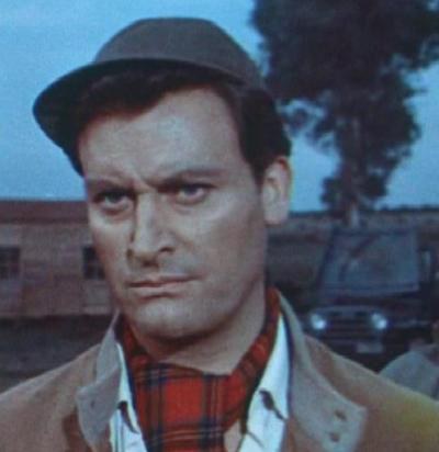 南多·安卓利尼 Nando Angelini