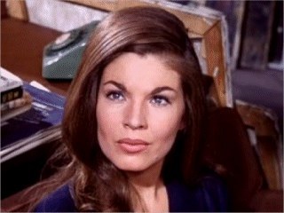 安妮·维吉耶 Anne De Vigier