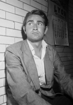 小爱德华·G·罗宾逊 Edward G. Robinson Jr.