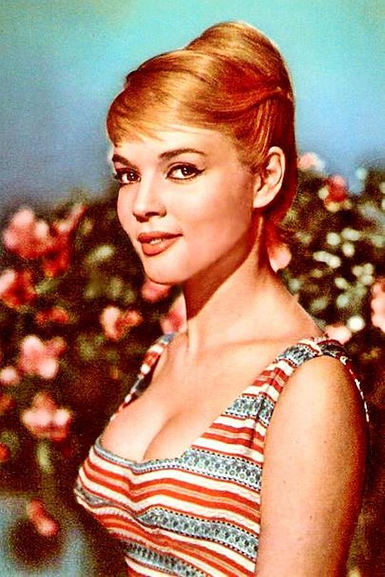 阿格妮丝·劳伦特 Agnès Laurent