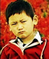 孙晓璞 Xiaopu Sun