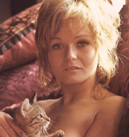 瓦莱丽·佩莱恩 Valerie Perrine