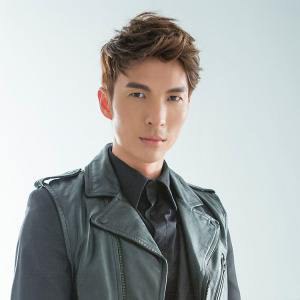 陈势安 Andrew Tan
