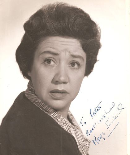 梅格斯·詹金斯 Megs Jenkins