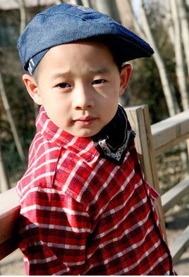 张家骏 Jiajun Zhang