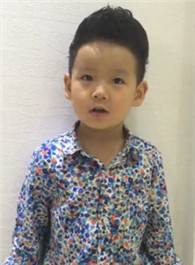 陈泓瑄 Hongxuan Chen