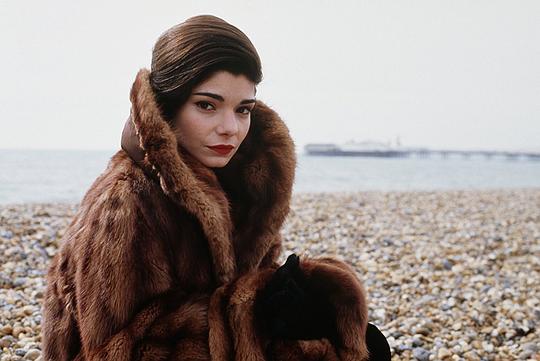 劳拉·圣吉亚科莫 Laura San Giacomo