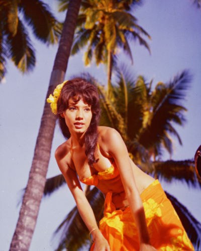 罗森达·蒙特罗斯 Rosenda Monteros