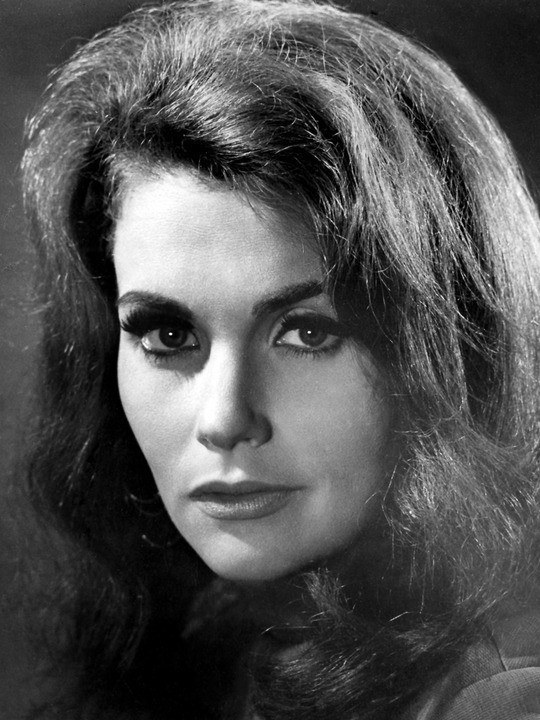 米切尔·凯瑞 Michele Carey