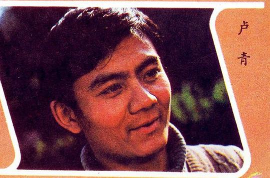 卢青 Qing Lu