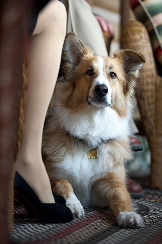 凯西 Casey