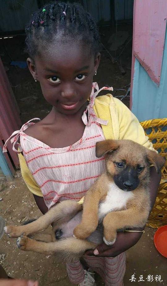 黛安娜·希拉 Diana Sylla