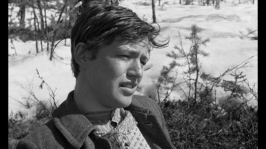 埃迪·阿克斯贝里 Eddie Axberg