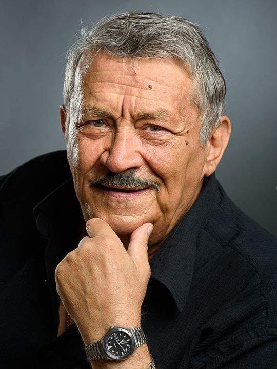 索兰·梅代莱尼 Sorin Medeleni