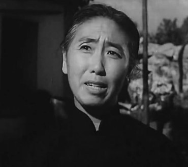 王英林 Yinglin Wang