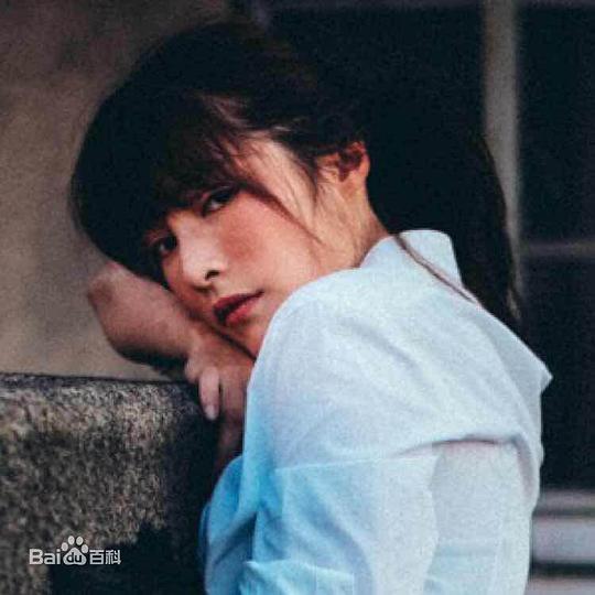 李梓辰 Zichen Li