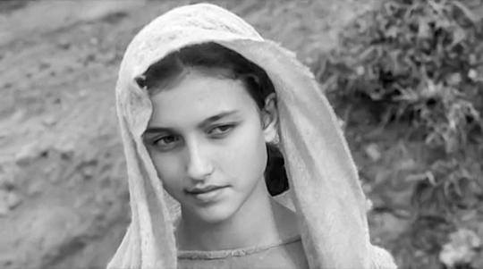 玛格丽塔·卡鲁索 Margherita Caruso