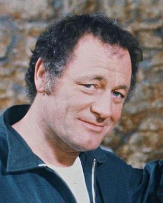 米歇尔·福廷 Michel Fortin